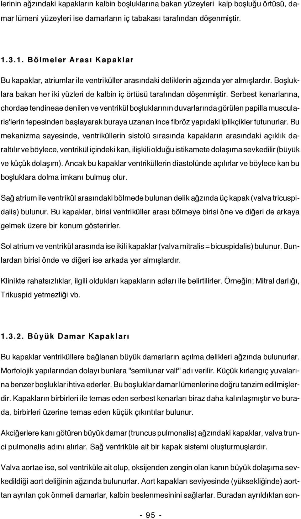 Serbest kenarlarına, chordae tendineae denilen ve ventrikül boşluklarının duvarlarında görülen papilla muscularis'lerin tepesinden başlayarak buraya uzanan ince fibröz yapıdaki iplikçikler tutunurlar.