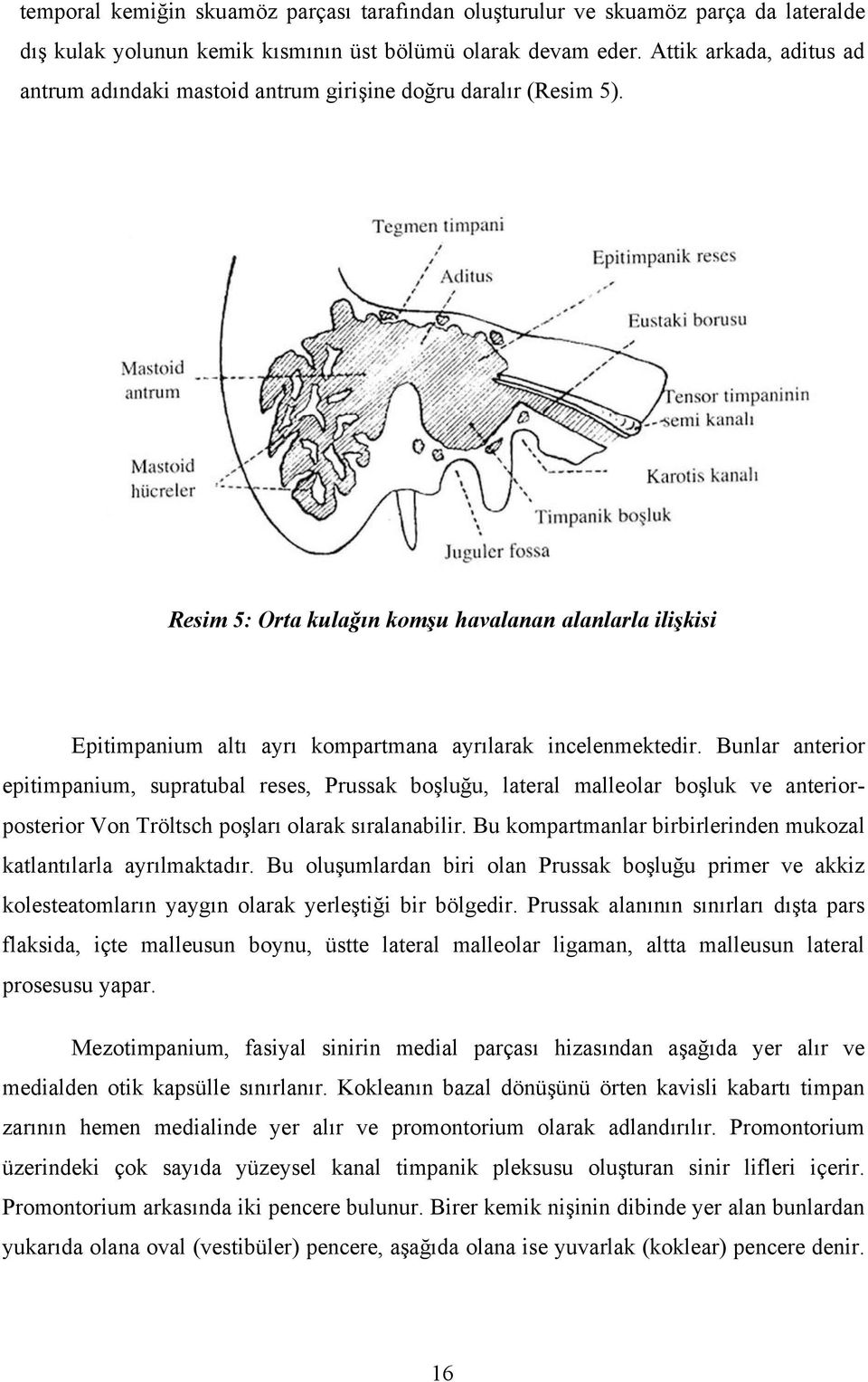 Resim 5: Orta kulağın komşu havalanan alanlarla ilişkisi Epitimpanium altı ayrı kompartmana ayrılarak incelenmektedir.