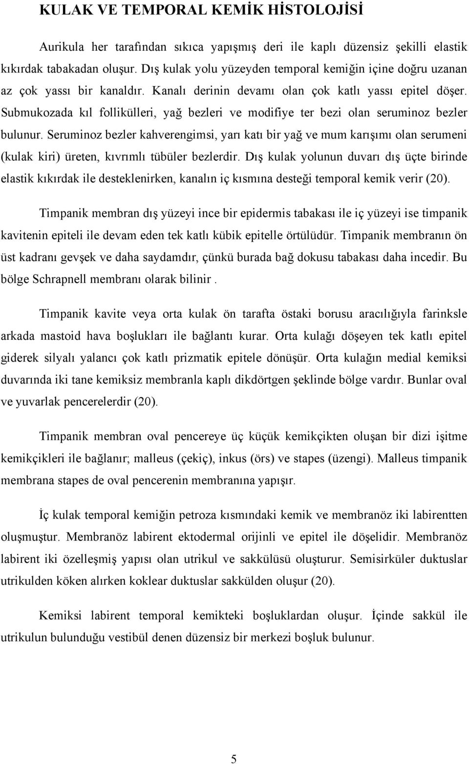 Submukozada kıl follikülleri, yağ bezleri ve modifiye ter bezi olan seruminoz bezler bulunur.