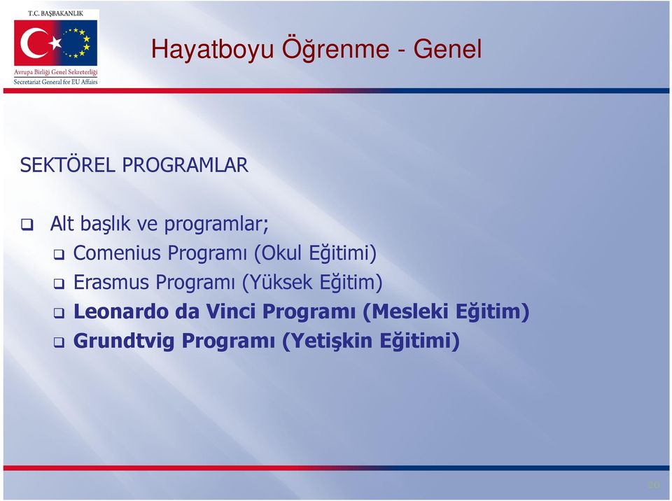 Erasmus Programı (Yüksek Eğitim) Leonardo da Vinci