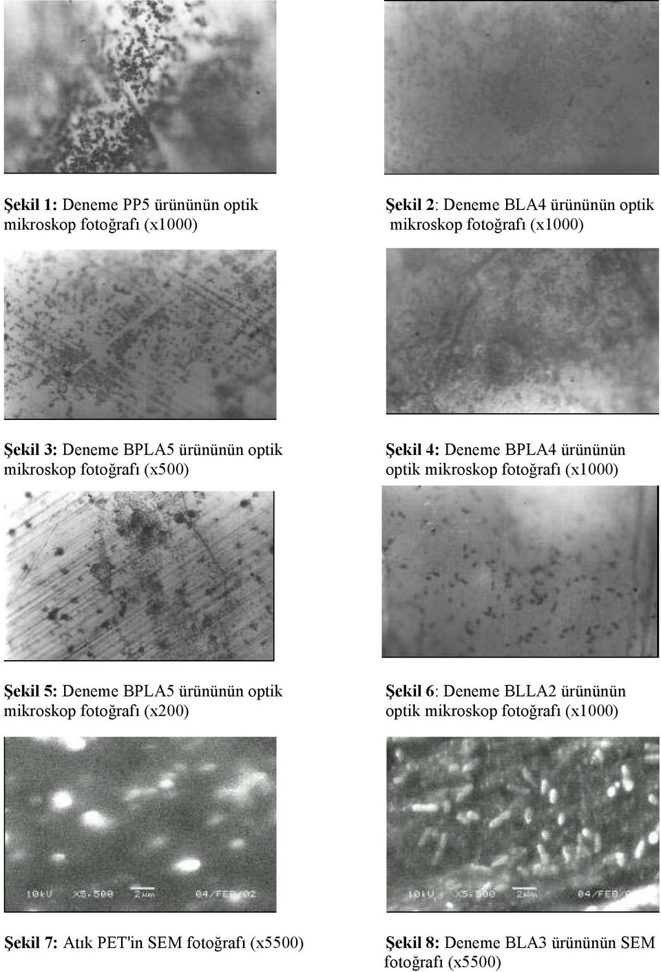 fotoğrafı (x1000) Şekil 5: Deneme BPLA5 ürününün optik mikroskop fotoğrafı (x200) Şekil 6: Deneme BLLA2 ürününün optik