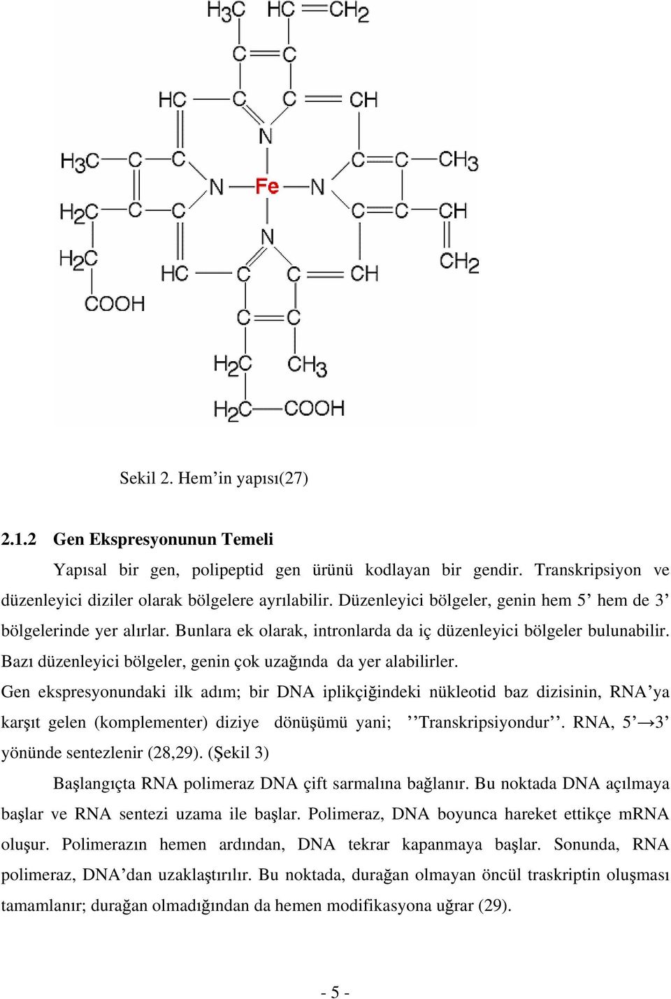 Baz düzenleyici bölgeler, genin çok uza nda da yer alabilirler.