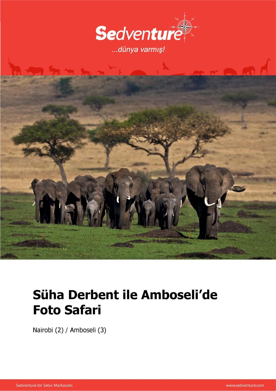 Safari Nairobi