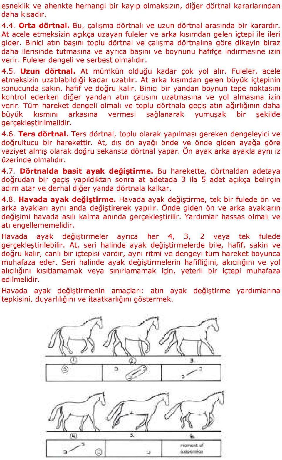 Binici atın başını toplu dörtnal ve çalışma dörtnalına göre dikeyin biraz daha ilerisinde tutmasına ve ayrıca başını ve boynunu hafifçe indirmesine izin verir. Fuleler dengeli ve serbest olmalıdır. 4.