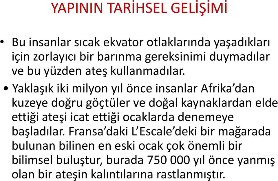 Yaklaşık iki milyon yıl önce insanlar Afrika dan kuzeye doğru göçtüler ve doğal kaynaklardan elde ettiği ateşi icat