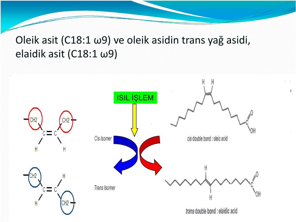 yağ asidi, elaidik