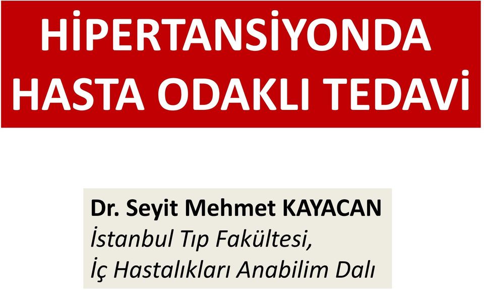 Seyit Mehmet KAYACAN