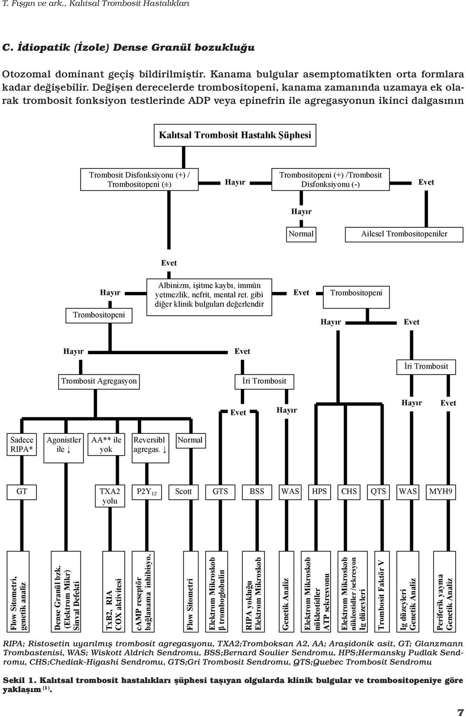 Trombosit Disfonksiyonu (+) / Trombositopeni (±) Trombositopeni (+) /Trombosit Disfonksiyonu (-) Normal Ailesel Trombositopeniler Trombositopeni Albinizm, işitme kaybı, immün yetmezlik, nefrit,