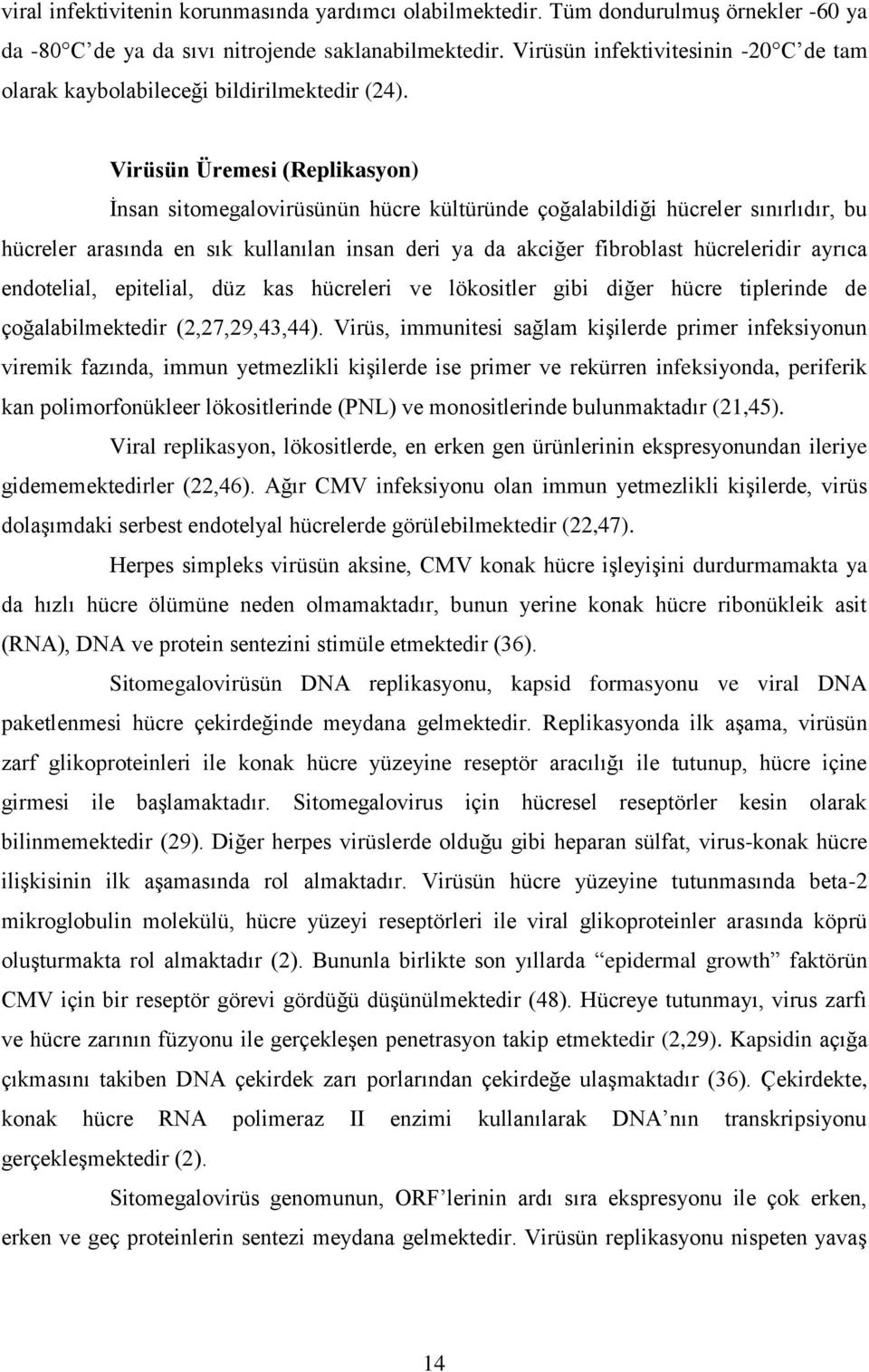 Virüsün Üremesi (Replikasyon) Ġnsan sitomegalovirüsünün hücre kültüründe çoğalabildiği hücreler sınırlıdır, bu hücreler arasında en sık kullanılan insan deri ya da akciğer fibroblast hücreleridir