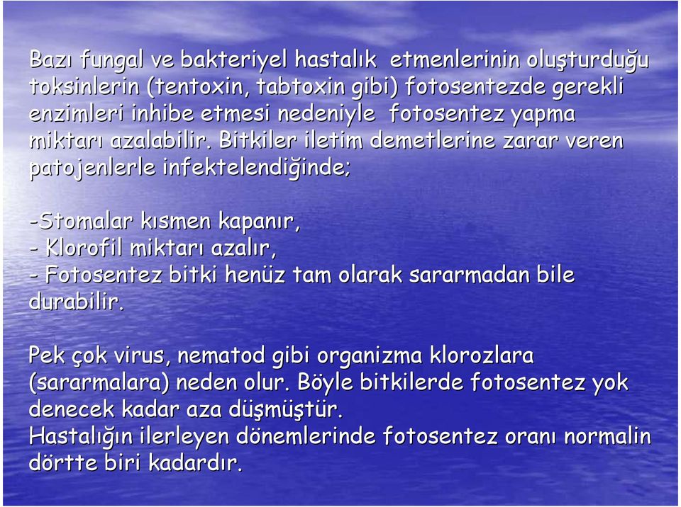 Bitkiler iletim demetlerine zarar veren patojenlerle infektelendiğinde inde; -Stomalar kısmen kapanır, - Klorofil miktarı azalır, - Fotosentez bitki henüz z