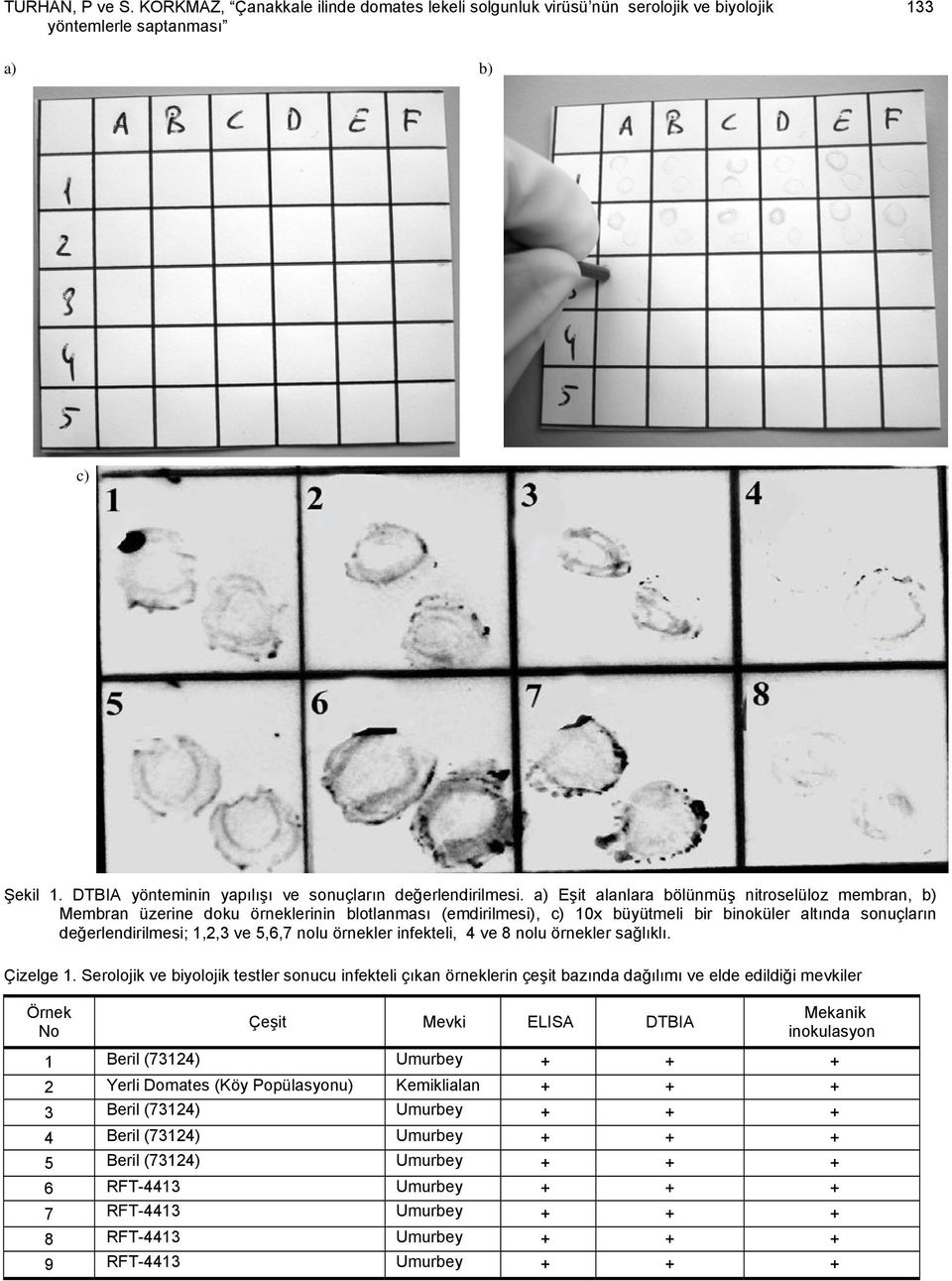 a) Eşit alanlara bölünmüş nitroselüloz membran, b) Membran üzerine doku örneklerinin blotlanması (emdirilmesi), c) 10x büyütmeli bir binoküler altında sonuçların değerlendirilmesi; 1,2,3 ve 5,6,7