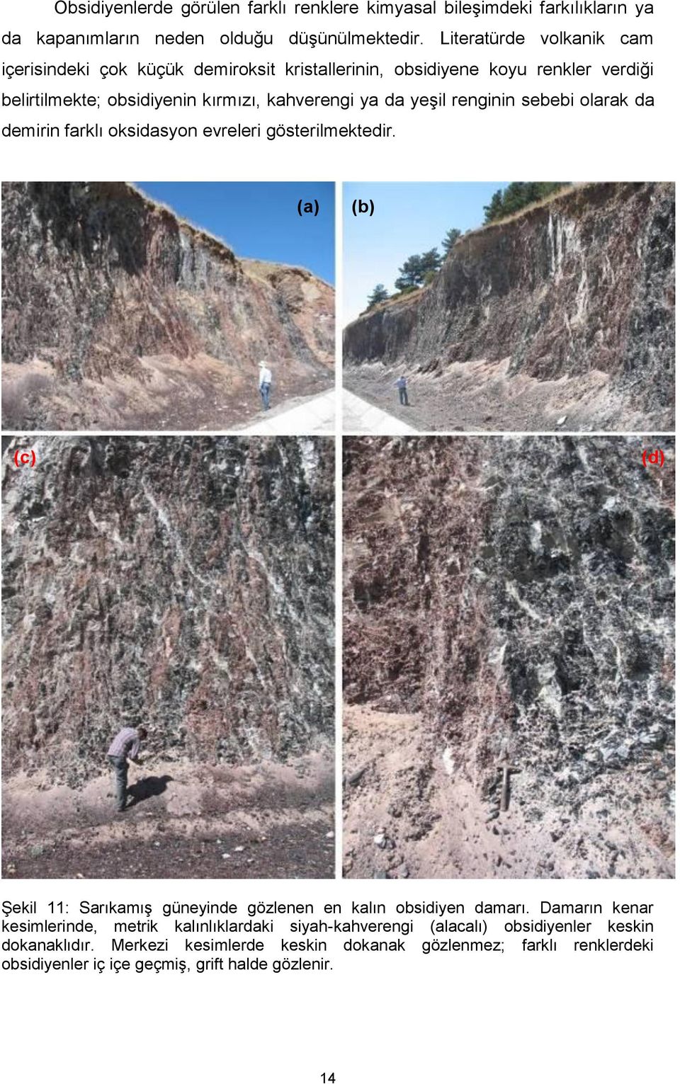 renginin sebebi olarak da demirin farklı oksidasyon evreleri gösterilmektedir. (a) (b) (c) (d) Şekil 11: Sarıkamış güneyinde gözlenen en kalın obsidiyen damarı.