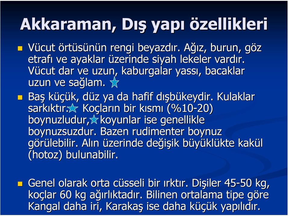 Koçların bir kısmı (%10-20) boynuzludur, koyunlar ise genellikle boynuzsuzdur. Bazen rudimenter boynuz görülebilir.