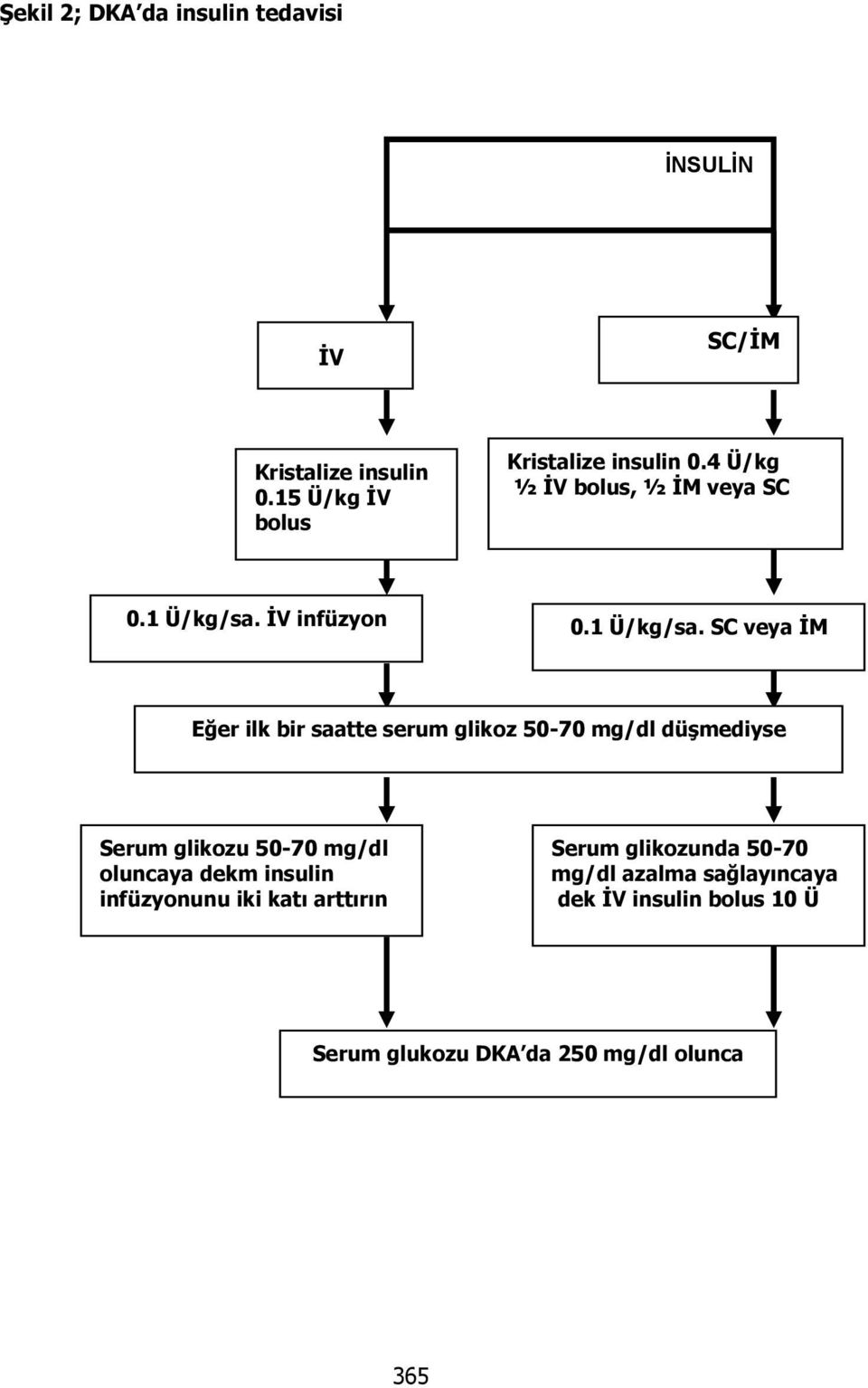 İV infüzyon 0.1 Ü/kg/sa.