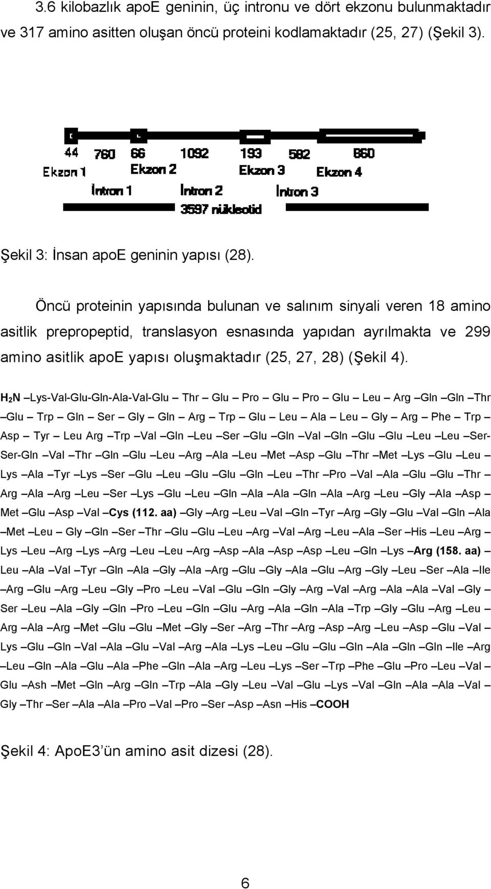 H 2 N Lys-Val-Glu-Gln-Ala-Val-Glu Thr Glu Pro Glu Pro Glu Leu Arg Gln Gln Thr Glu Trp Gln Ser Gly Gln Arg Trp Glu Leu Ala Leu Gly Arg Phe Trp Asp Tyr Leu Arg Trp Val Gln Leu Ser Glu Gln Val Gln Glu