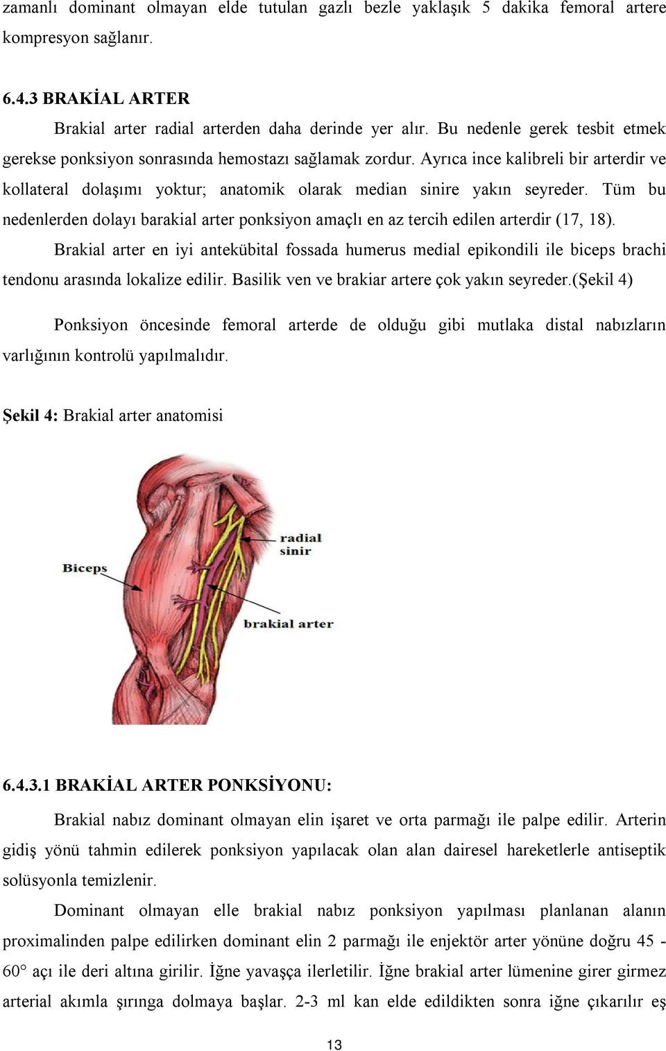 Tüm bu nedenlerden dolayı barakial arter ponksiyon amaçlı en az tercih edilen arterdir (17, 18).