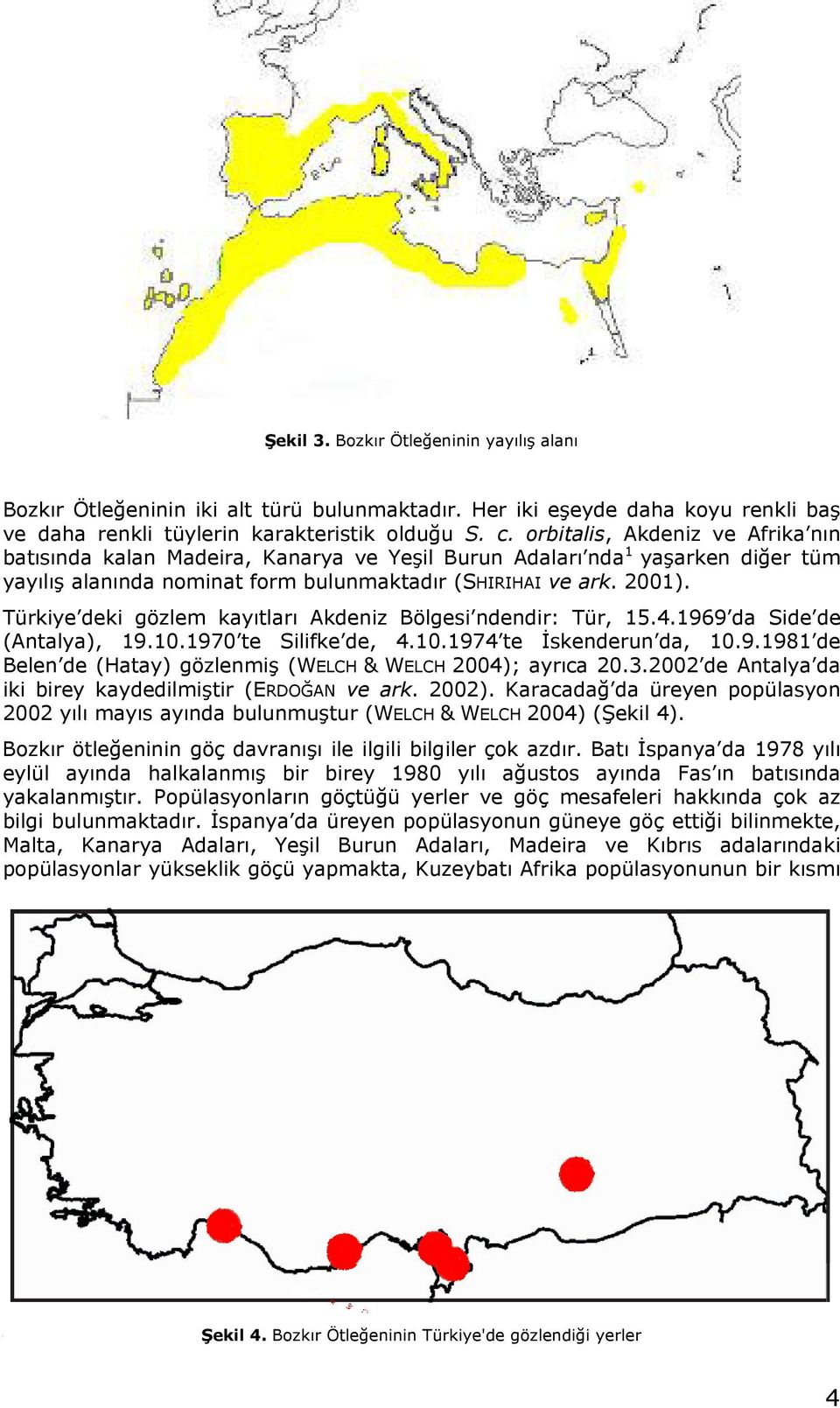 Türkiye deki gözlem kyıtlrı Akdeniz Bölgesi ndendir: Tür, 15.4.1969 d Side de (Antly), 19.10.1970 te Silifke de, 4.10.1974 te İskenderun d, 10.9.1981 de Belen de (Hty) gözlenmiş (WELCH & WELCH 2004); yrıc 20.