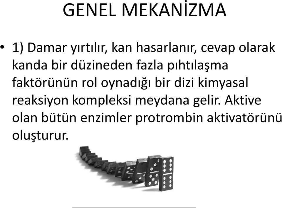 oy adığı bir dizi kimyasal reaksiyon kompleksi meydana