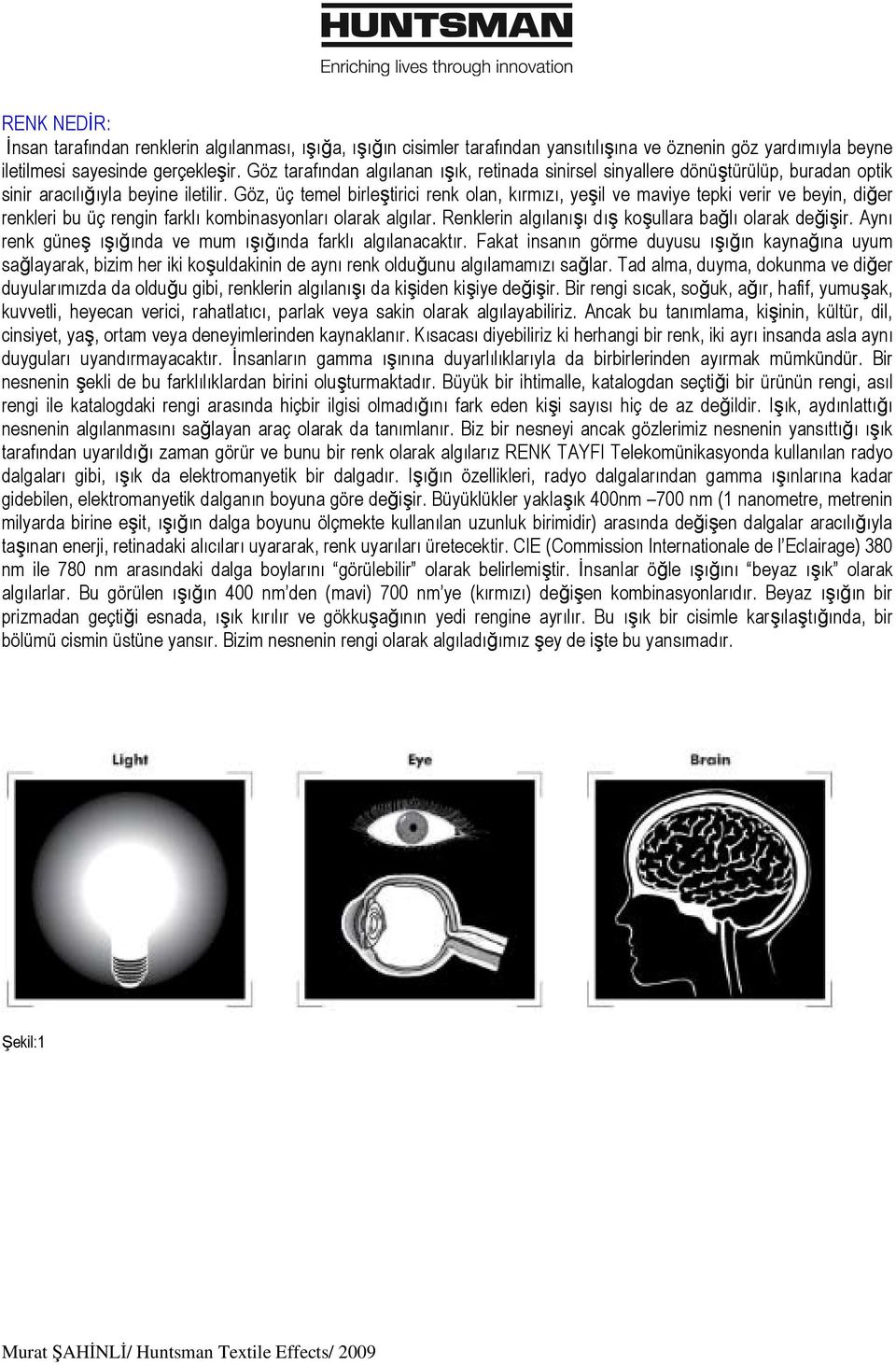 Göz, üç temel birleştirici renk olan, kırmızı, yeşil ve maviye tepki verir ve beyin, diğer renkleri bu üç rengin farklı kombinasyonları olarak algılar.