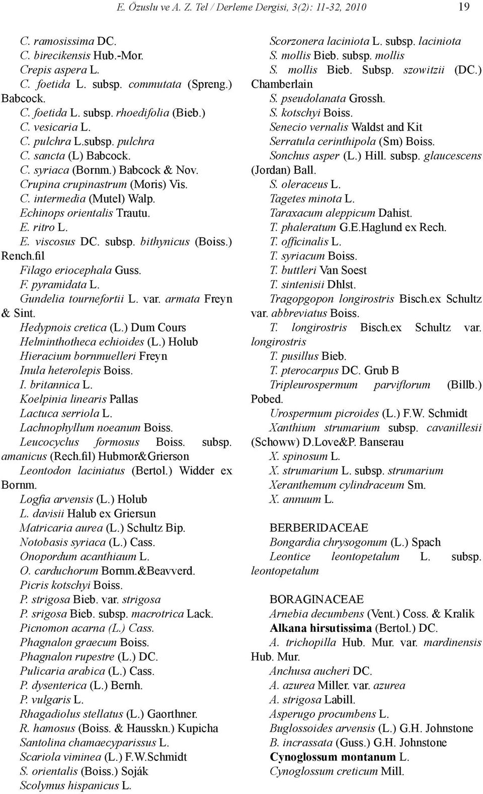 E. viscosus DC. subsp. bithynicus (Boiss.) Rench.fil Filago eriocephala Guss. F. pyramidata L. Gundelia tournefortii L. var. armata Freyn & Sint. Hedypnois cretica (L.