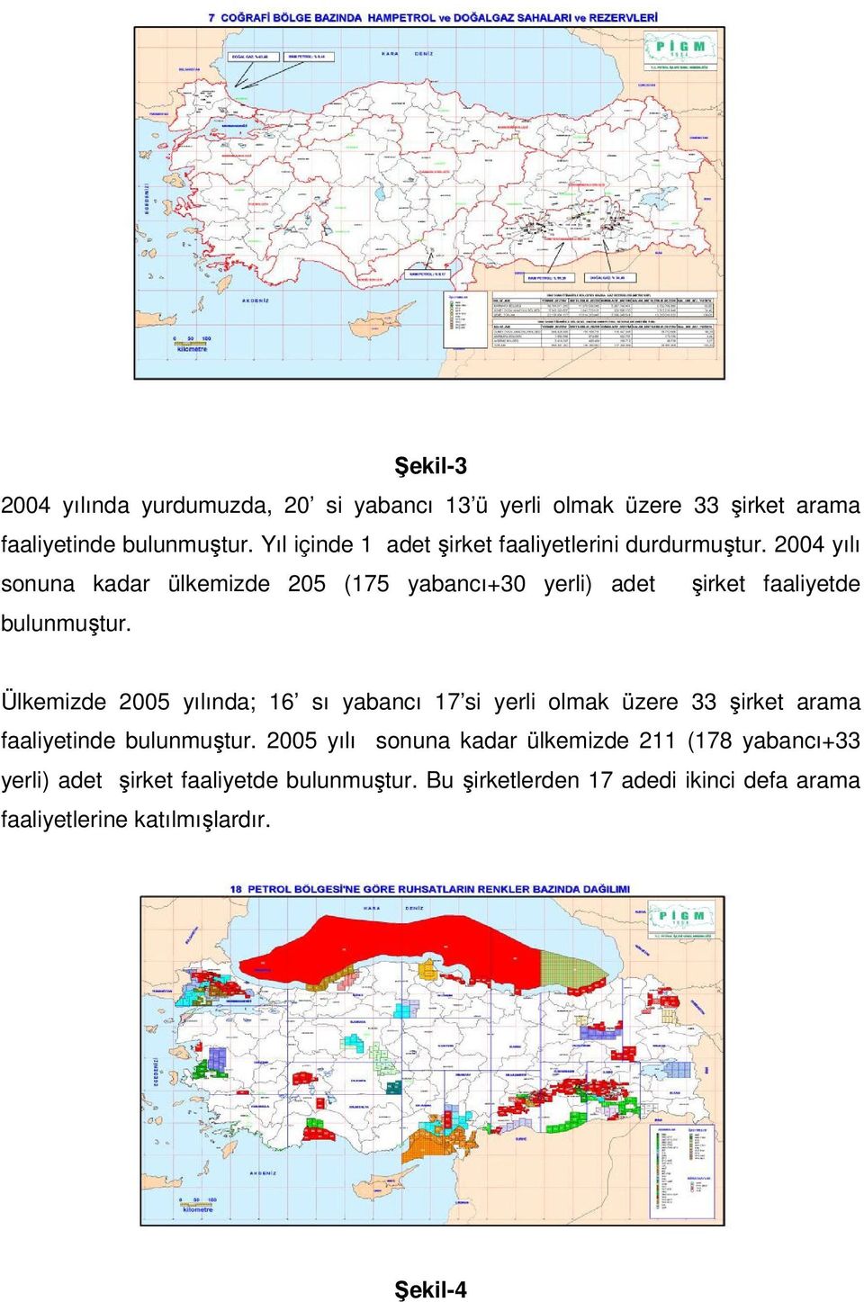 2004 yılı sonuna kadar ülkemizde 205 (175 yabancı+30 yerli) adet şirket faaliyetde bulunmuştur.