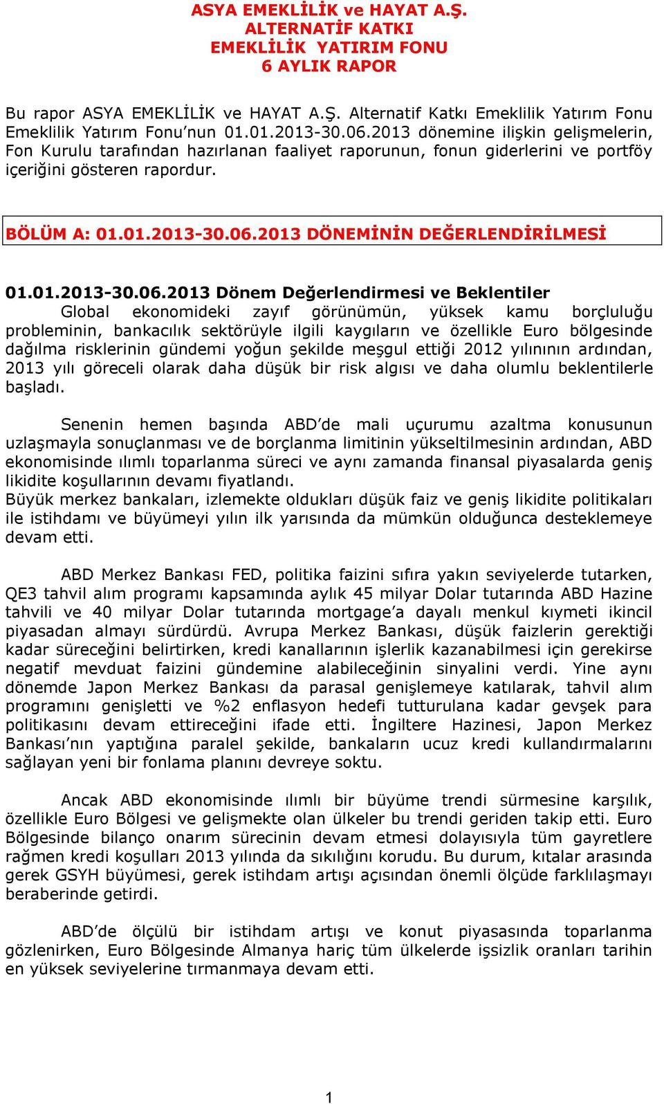 2013 DÖNEMİNİN DEĞERLENDİRİLMESİ 01.01.2013-30.06.