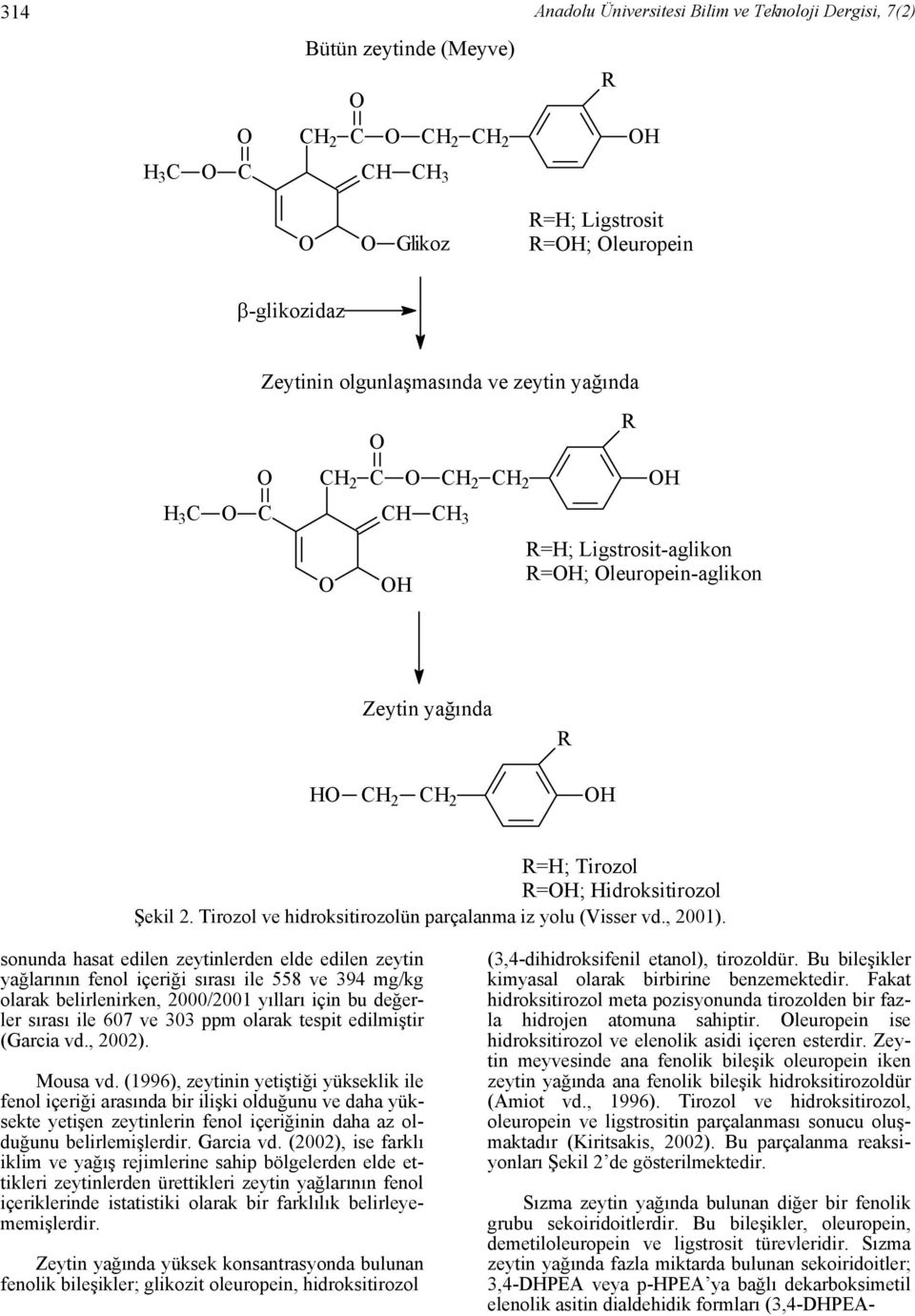 Tirozol ve hidroksitirozolün parçalanma iz yolu (Visser vd., 2001).
