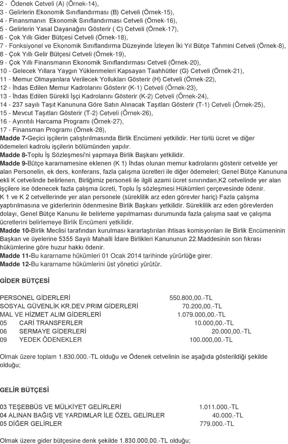 Gelir Bütçesi Cetveli (Örnek-19), 9 - Çok Yıllı Finansmanın Ekonomik Sınıflandırması Cetveli (Örnek-20), 10 - Gelecek Yıllara Yaygın Yüklenmeleri Kapsayan Taahhütler (G) Cetveli (Örnek-21), 11 -