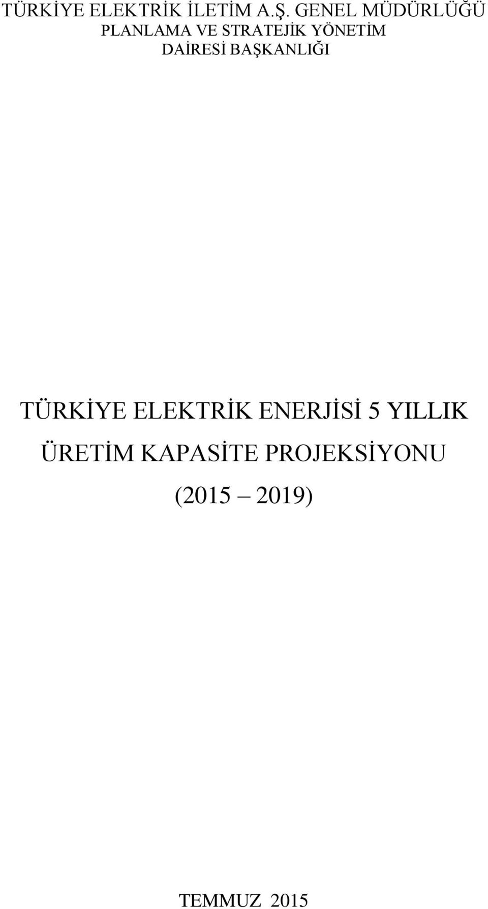 DAİRESİ BAŞKANLIĞI TÜRKİYE ELEKTRİK ENERJİSİ