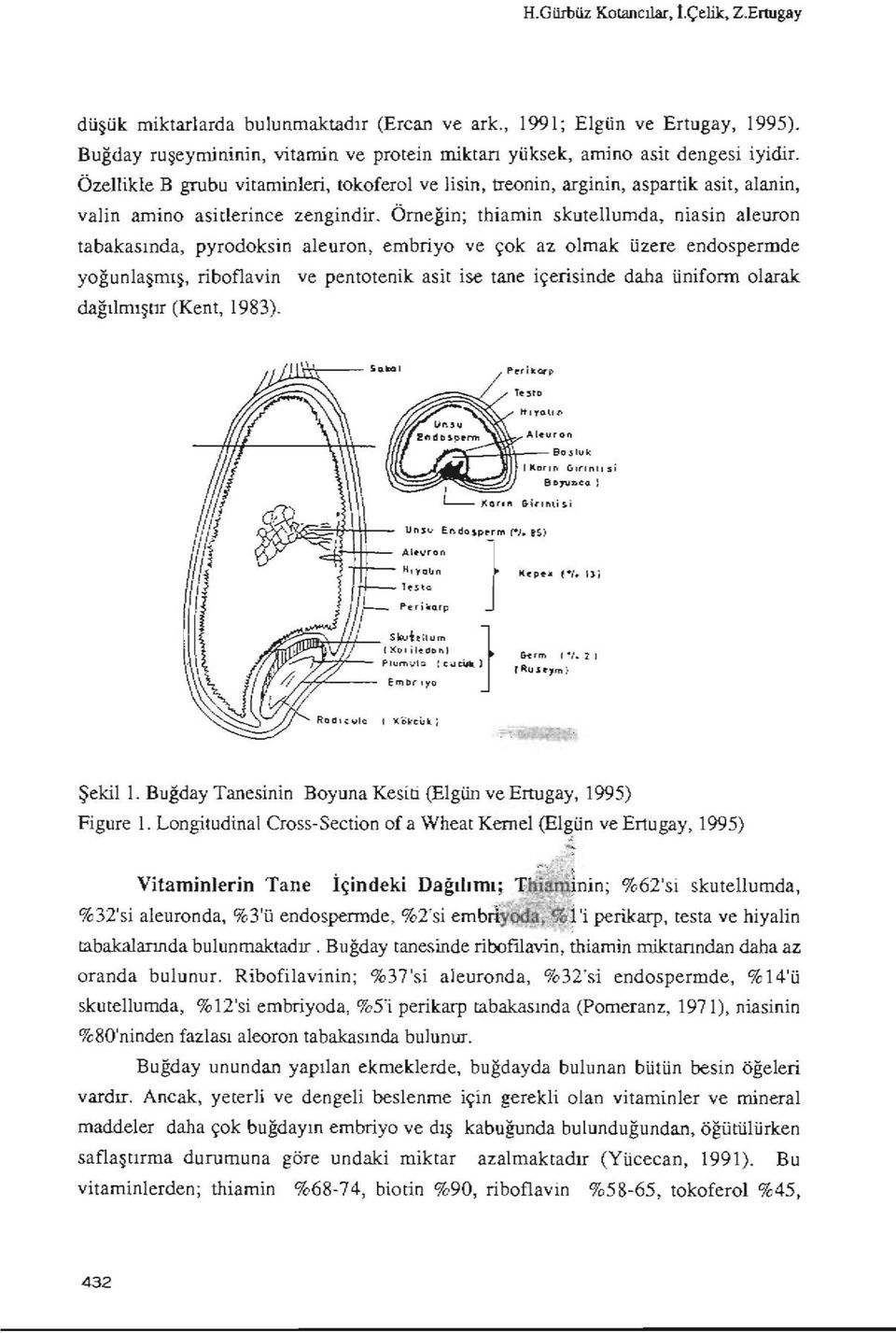 Özellikle B grubu vitaminleri, tokoferol ve lisin, treonin, arginin, aspartik asit, alanin, valin amino asitlerince zengindir.