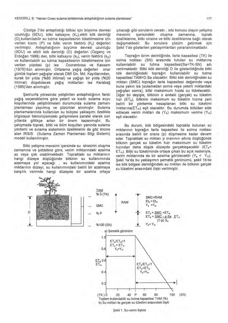 ğ i (D),kullan ı labilir su tutma kapasitesinin tüketilmesine izin verilen k ı sm ı (P) ve bitki verim faktörü (K y) de ğ erleri verilmi ştir.