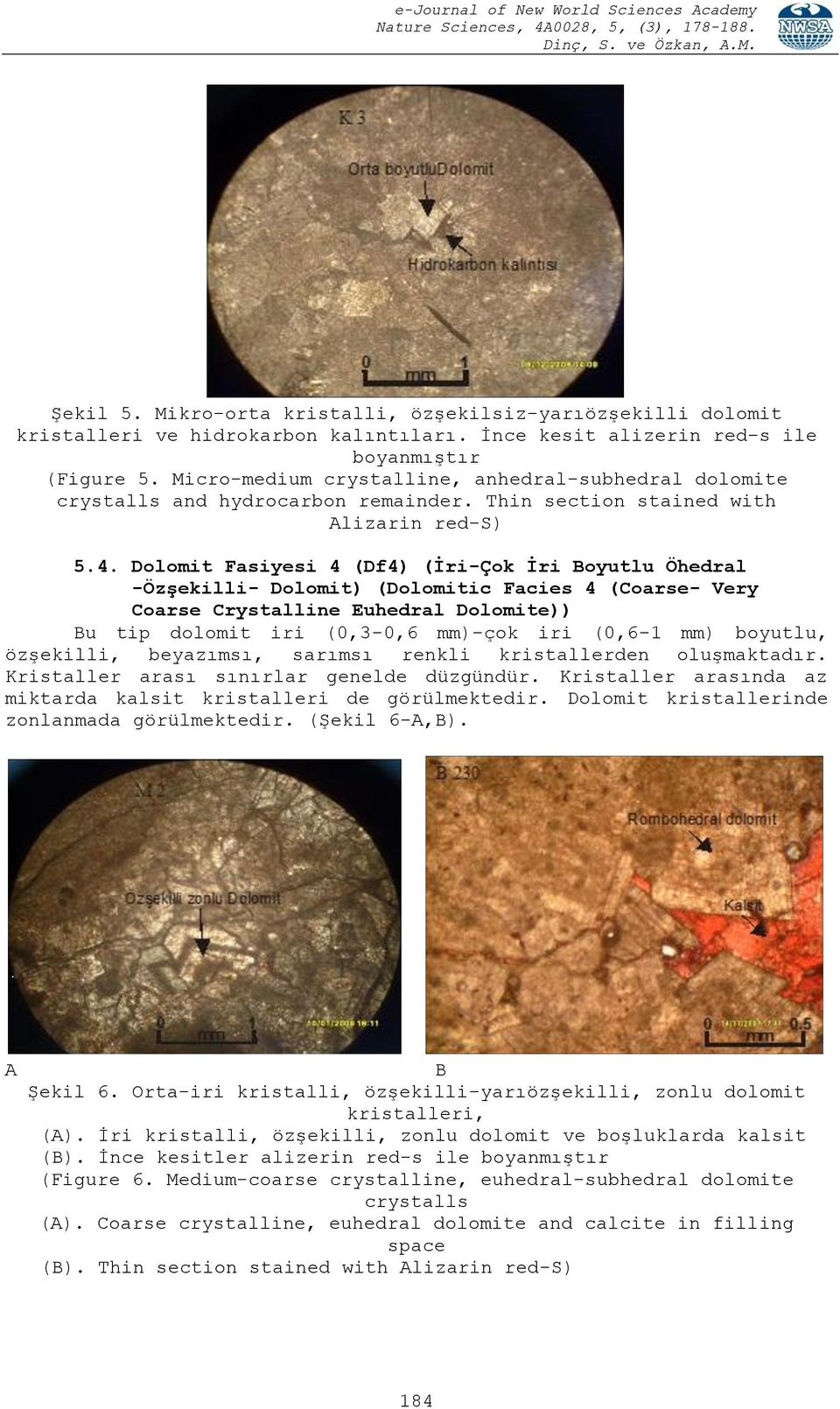 Dolomit Fasiyesi 4 (Df4) (İri-Çok İri Boyutlu Öhedral -Özşekilli- Dolomit) (Dolomitic Facies 4 (Coarse- Very Coarse Crystalline Euhedral Dolomite)) Bu tip dolomit iri (0,3-0,6 mm)-çok iri (0,6-1 mm)