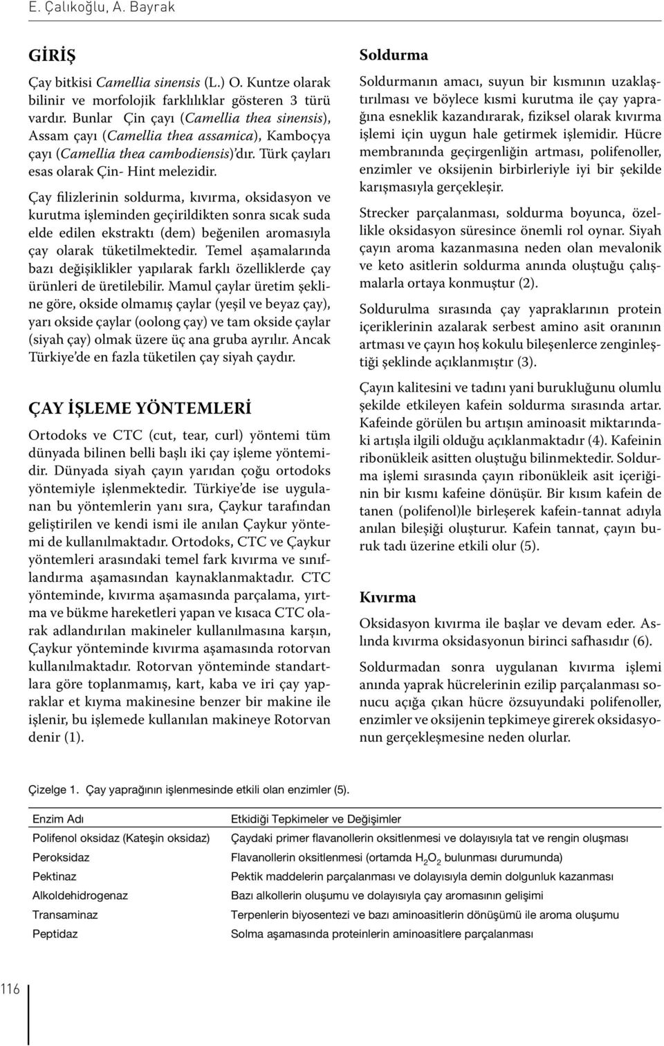 Çay filizlerinin soldurma, kıvırma, oksidasyon ve kurutma işleminden geçirildikten sonra sıcak suda elde edilen ekstraktı (dem) beğenilen aromasıyla çay olarak tüketilmektedir.