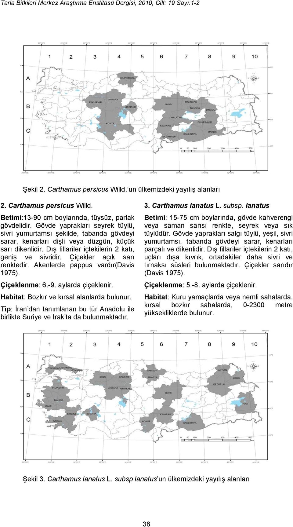 Çiçekler açık sarı renktedir. Akenlerde pappus vardır(davis 1975). Çiçeklenme: 6.-9. aylarda çiçeklenir. Habitat: Bozkır ve kırsal alanlarda bulunur.