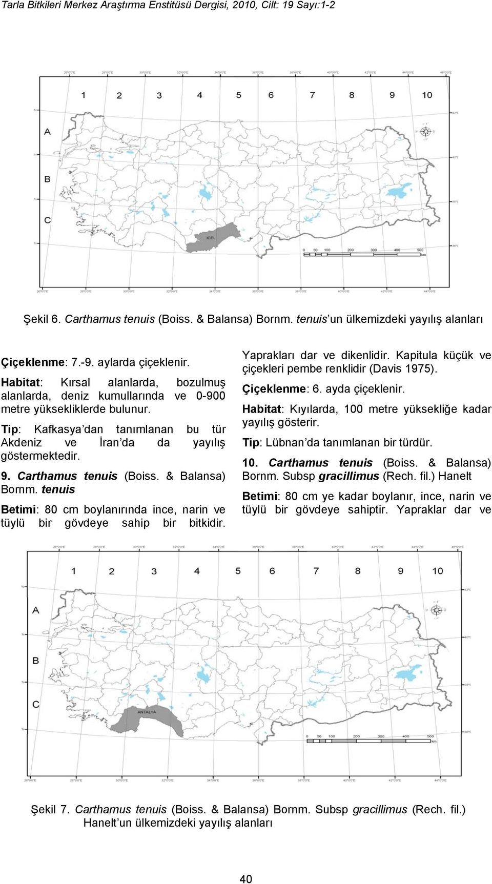 Tip: Kafkasya dan tanımlanan bu tür Akdeniz ve İran da da yayılış göstermektedir. 9. Carthamus tenuis (Boiss. & Balansa) Bornm.