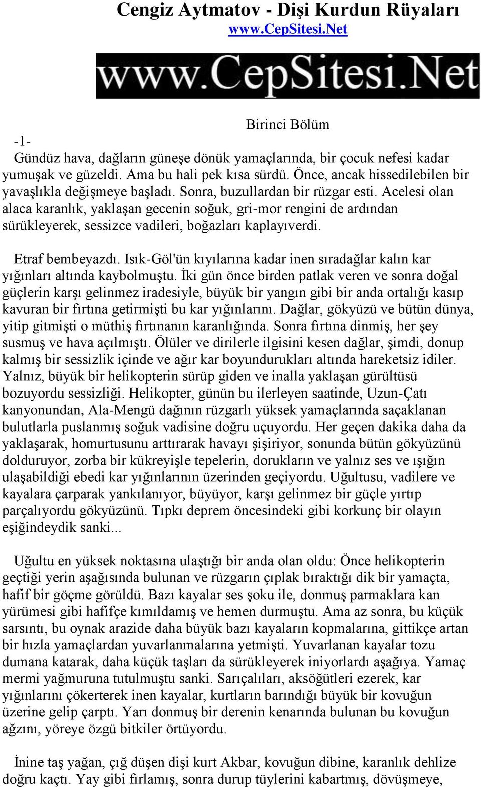 Acelesi olan alaca karanlık, yaklaşan gecenin soğuk, gri-mor rengini de ardından sürükleyerek, sessizce vadileri, boğazları kaplayıverdi. Etraf bembeyazdı.