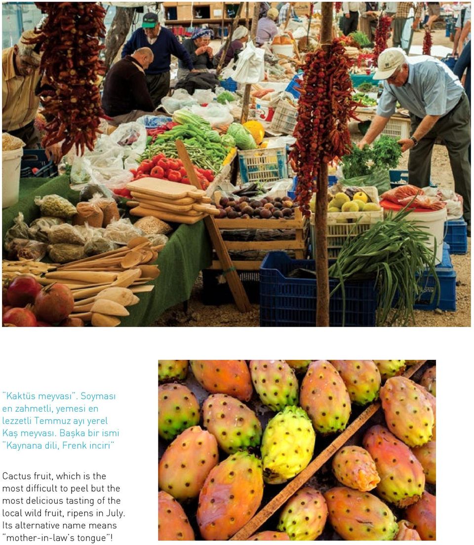 Başka bir ismi Kaynana dili, Frenk inciri Cactus fruit, which is the most