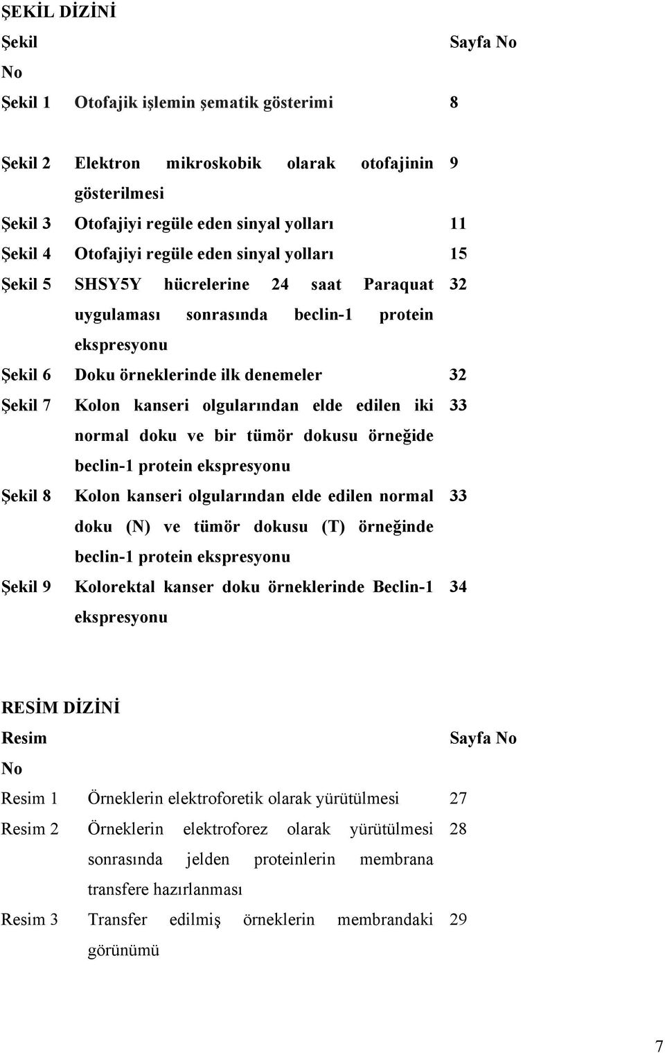 kanseri olgularından elde edilen iki 33 normal doku ve bir tümör dokusu örneğide beclin-1 protein ekspresyonu Şekil 8 Kolon kanseri olgularından elde edilen normal 33 doku (N) ve tümör dokusu (T)