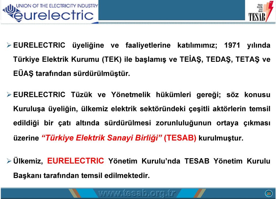 EURELECTRIC Tüzük ve Yönetmelik hükümleri gereği; söz konusu Kuruluşa üyeliğin, ülkemiz elektrik sektöründeki çeşitli aktörlerin temsil