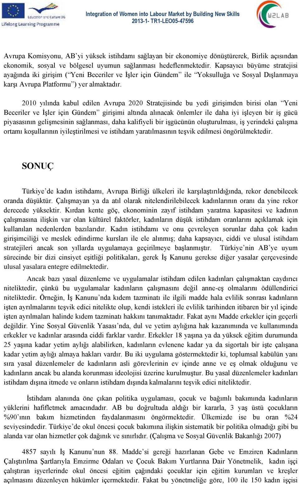 2010 yılında kabul edilen Avrupa 2020 Stratejisinde bu yedi girişimden birisi olan Yeni Beceriler ve İşler için Gündem girişimi altında alınacak önlemler ile daha iyi işleyen bir iş gücü piyasasının