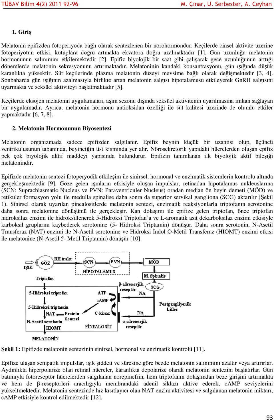 Melatoninin kandaki konsantrasyonu, gün ışığında düşük karanlıkta yüksektir. Süt keçilerinde plazma melatonin düzeyi mevsime bağlı olarak değişmektedir [3, 4].