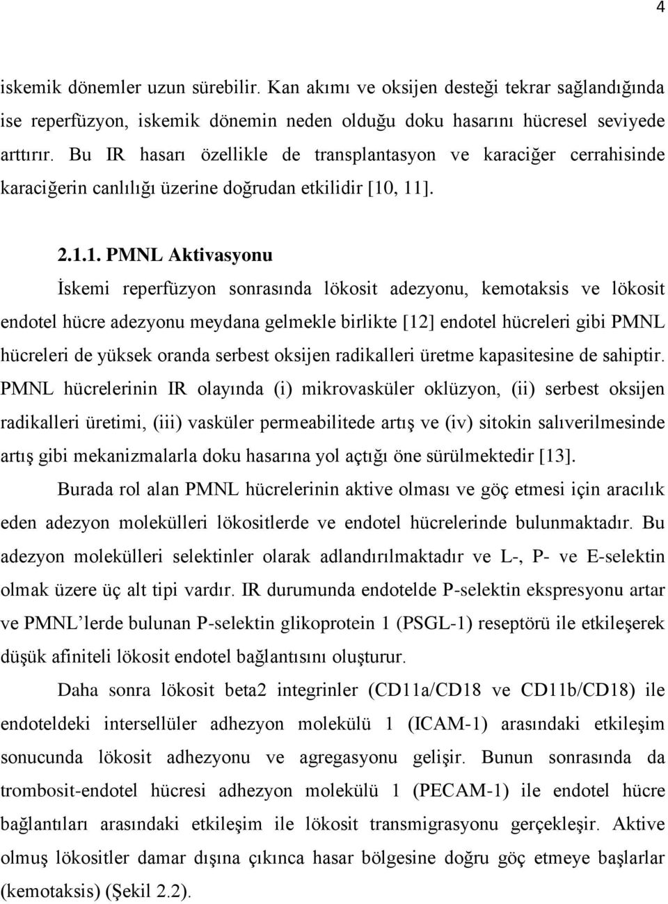 , 11]. 2.1.1. PMNL Aktivasyonu İskemi reperfüzyon sonrasında lökosit adezyonu, kemotaksis ve lökosit endotel hücre adezyonu meydana gelmekle birlikte [12] endotel hücreleri gibi PMNL hücreleri de