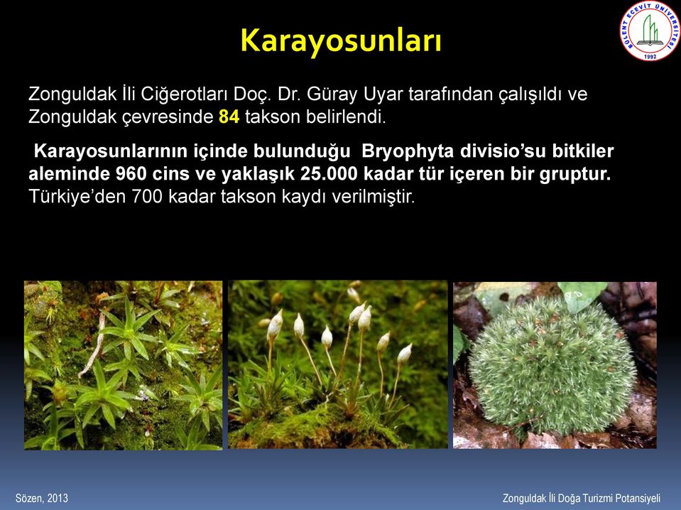 Karayosunlarının içinde bulunduğu Bryophyta divisio su bitkiler aleminde 960