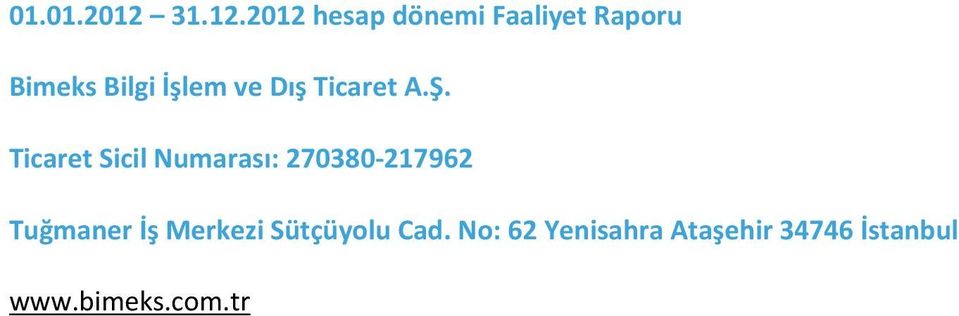 2012 hesap dönemi Faaliyet Raporu Bimeks Bilgi İşlem ve