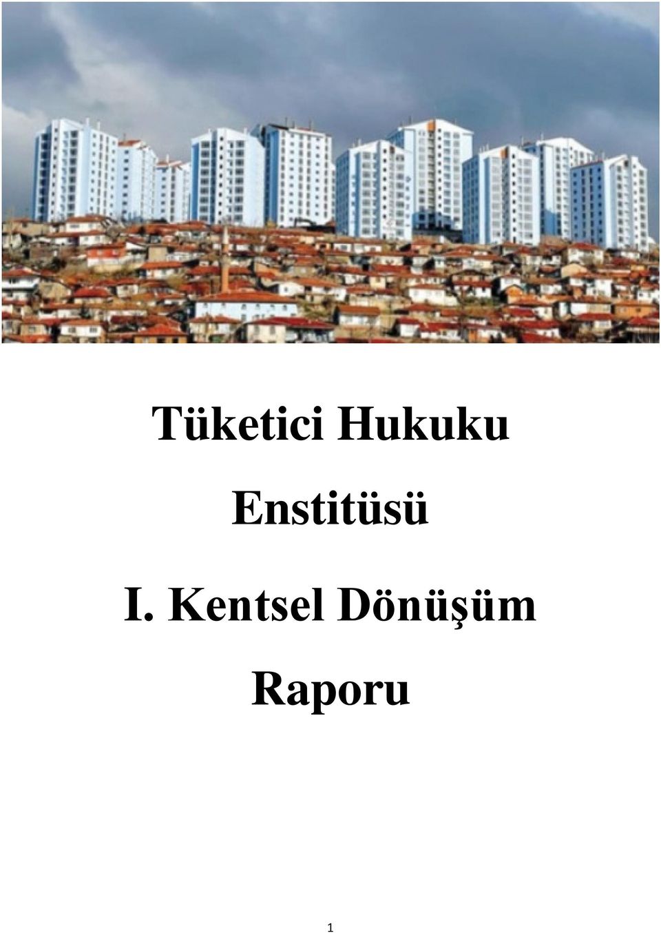 Enstitüsü I.