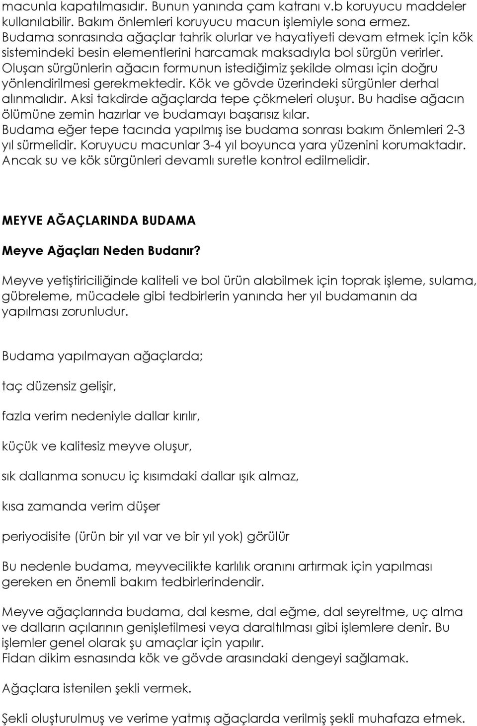 Oluşan sürgünlerin ağacın formunun istediğimiz şekilde olması için doğru yönlendirilmesi gerekmektedir. Kök ve gövde üzerindeki sürgünler derhal alınmalıdır.