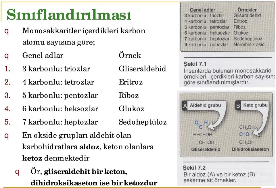 6 karbonlu: heksozlar Glukoz 5.