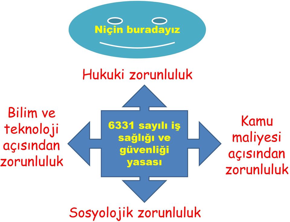 iş sağlığı ve güvenliği yasası Kamu