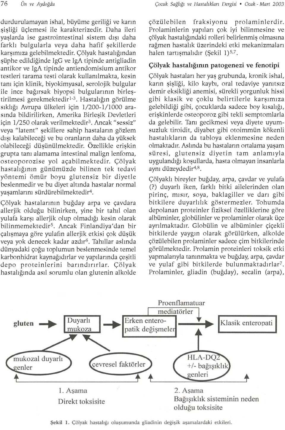 Çölyak hastalýðýndan þüphe edildiðinde IgG ve IgA tipinde antigliadin antikor ve IgA tipinde antiendomisium antikor testleri tarama testi olarak kullanýlmakta, kesin taný için klinik, biyokimyasal,