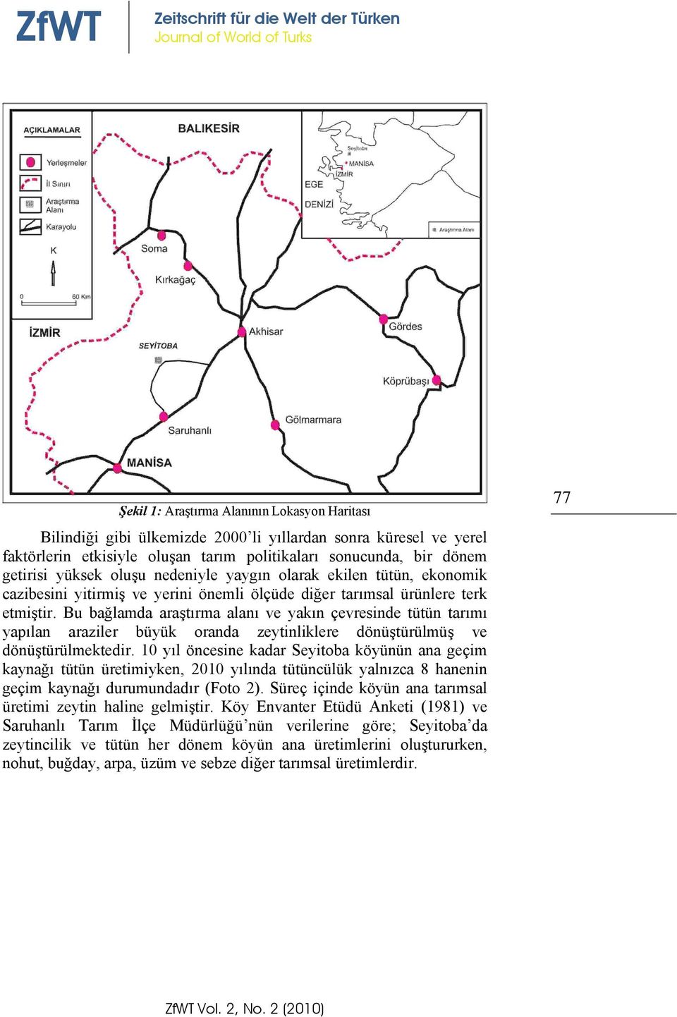 Bu bağlamda araştırma alanı ve yakın çevresinde tütün tarımı yapılan araziler büyük oranda zeytinliklere dönüştürülmüş ve dönüştürülmektedir.